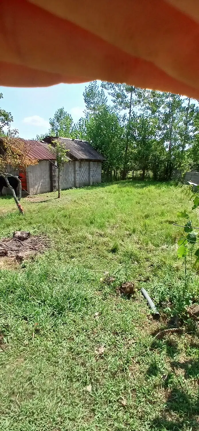 تصویر املاک 96545