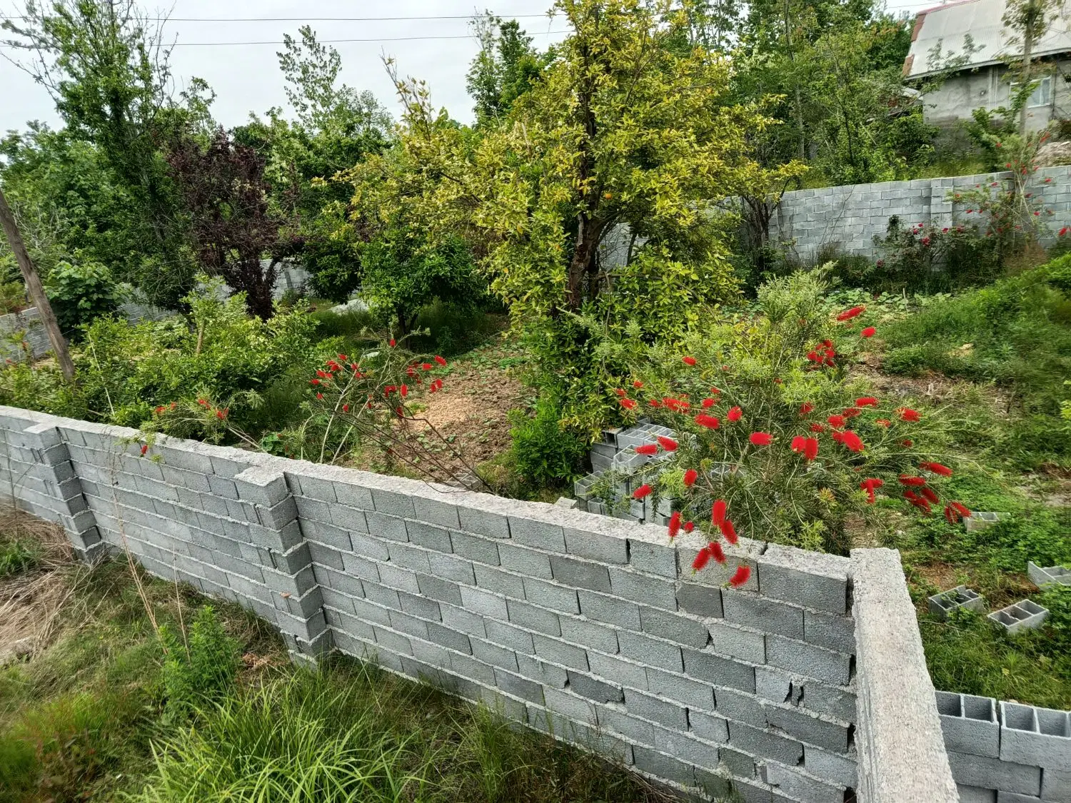 تصویر املاک 48246