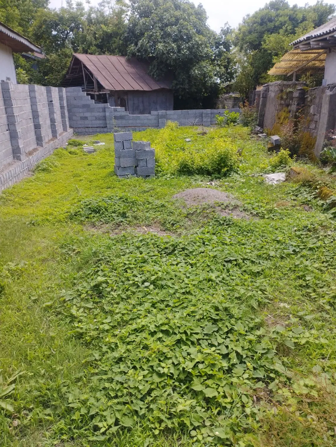 تصویر املاک 112789