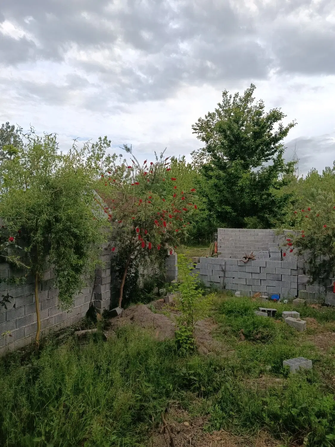 تصویر املاک 48244