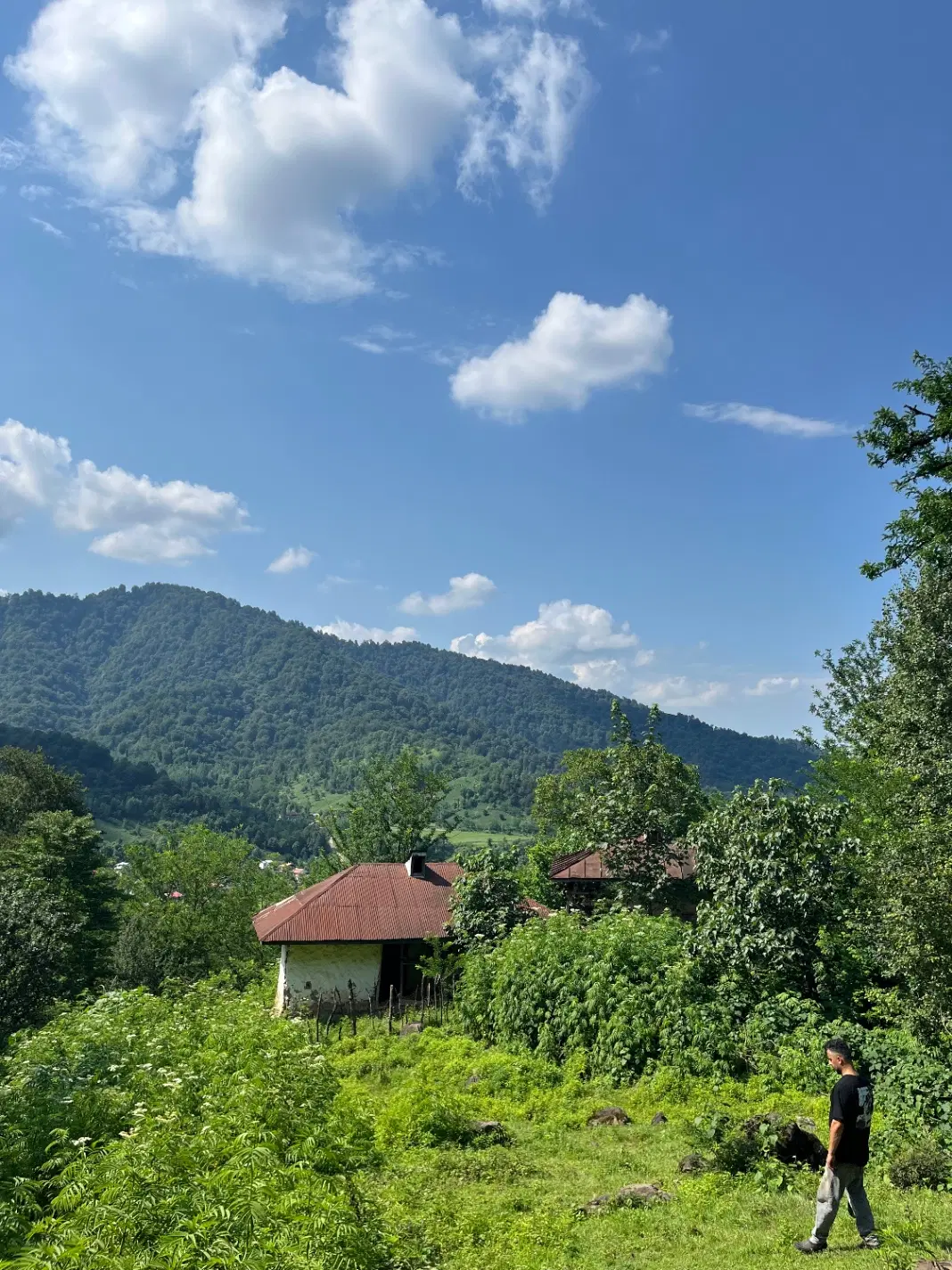 تصویر املاک 105599