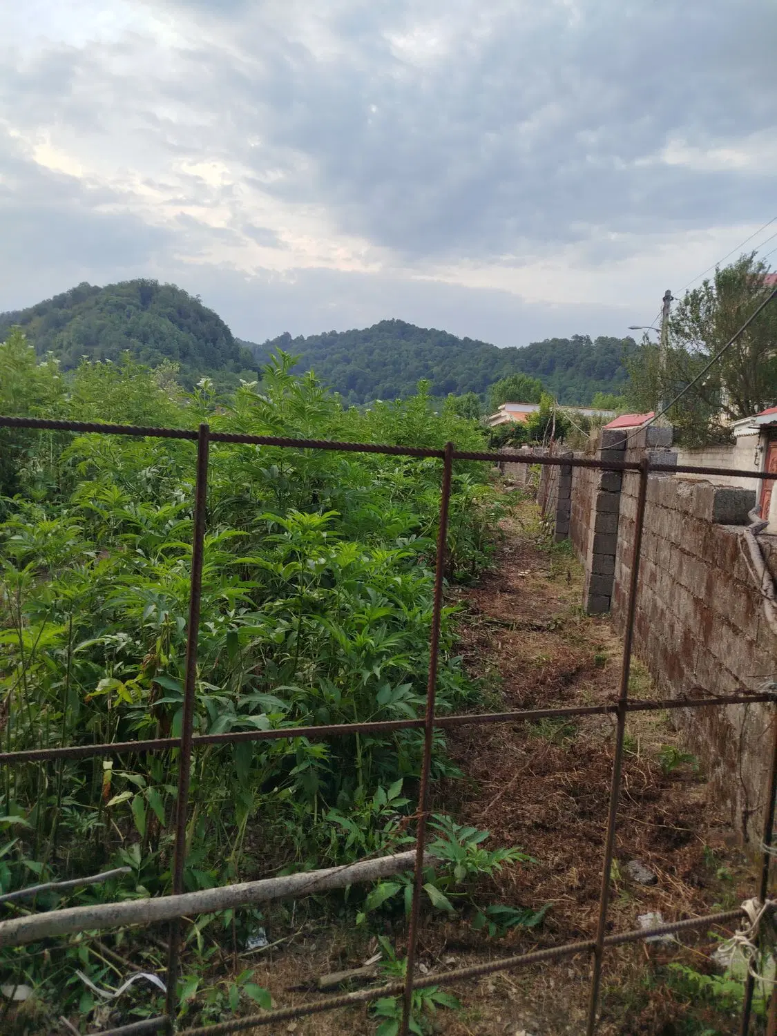 تصویر املاک 70734
