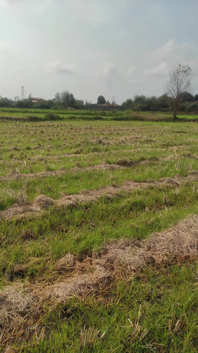 تصویر املاک 86302