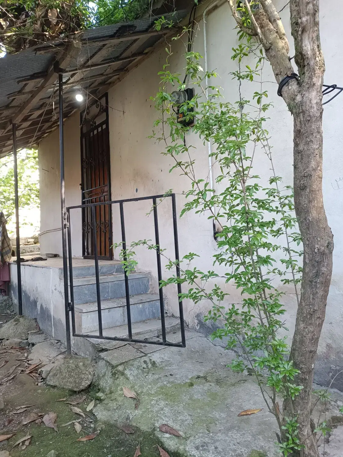 تصویر املاک 82702