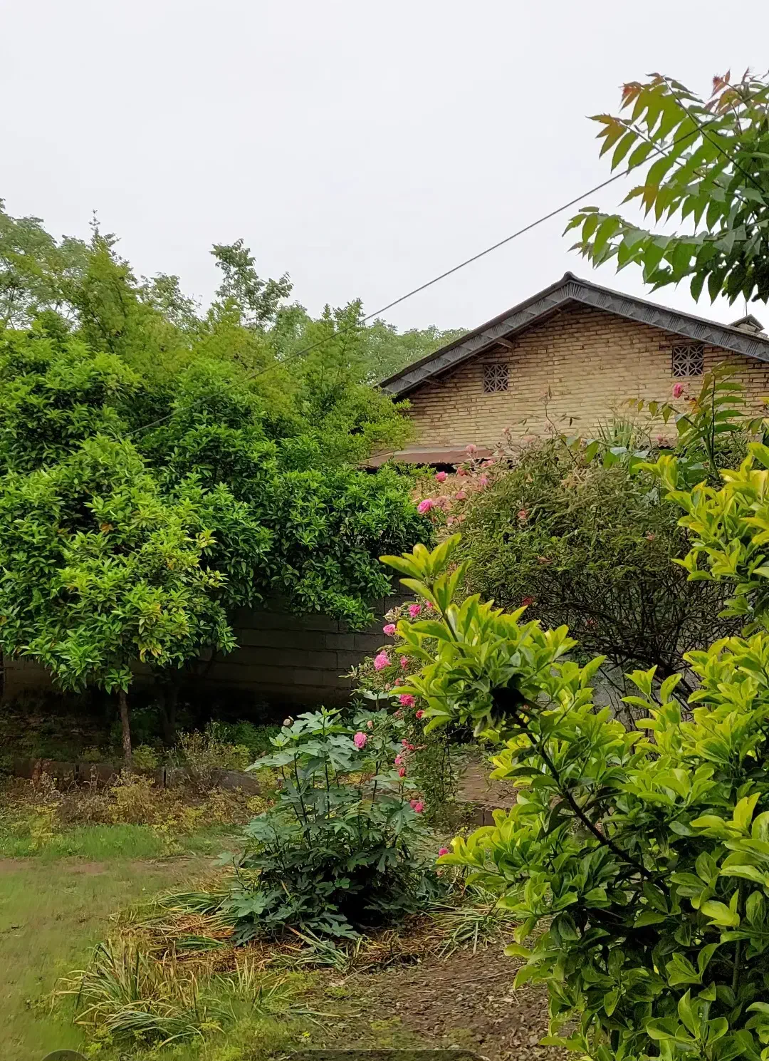 تصویر املاک 40110