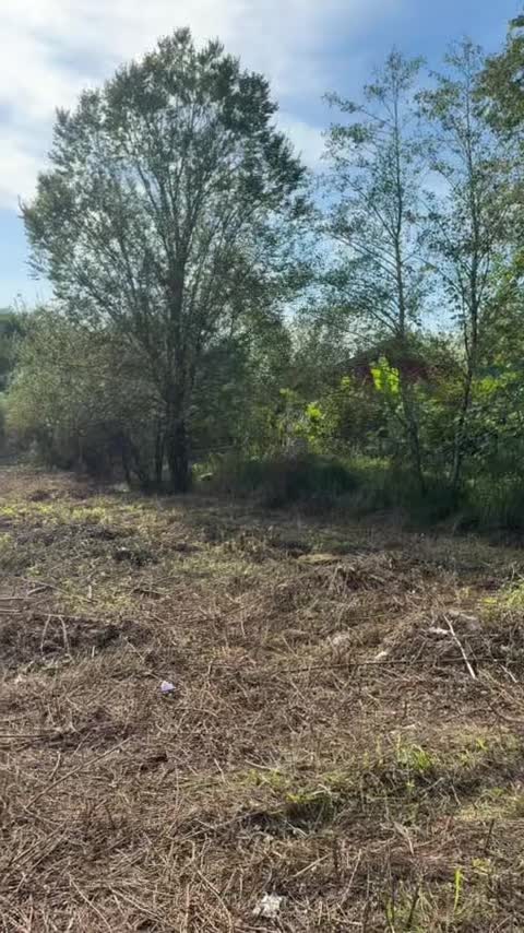 تصویر املاک 143503
