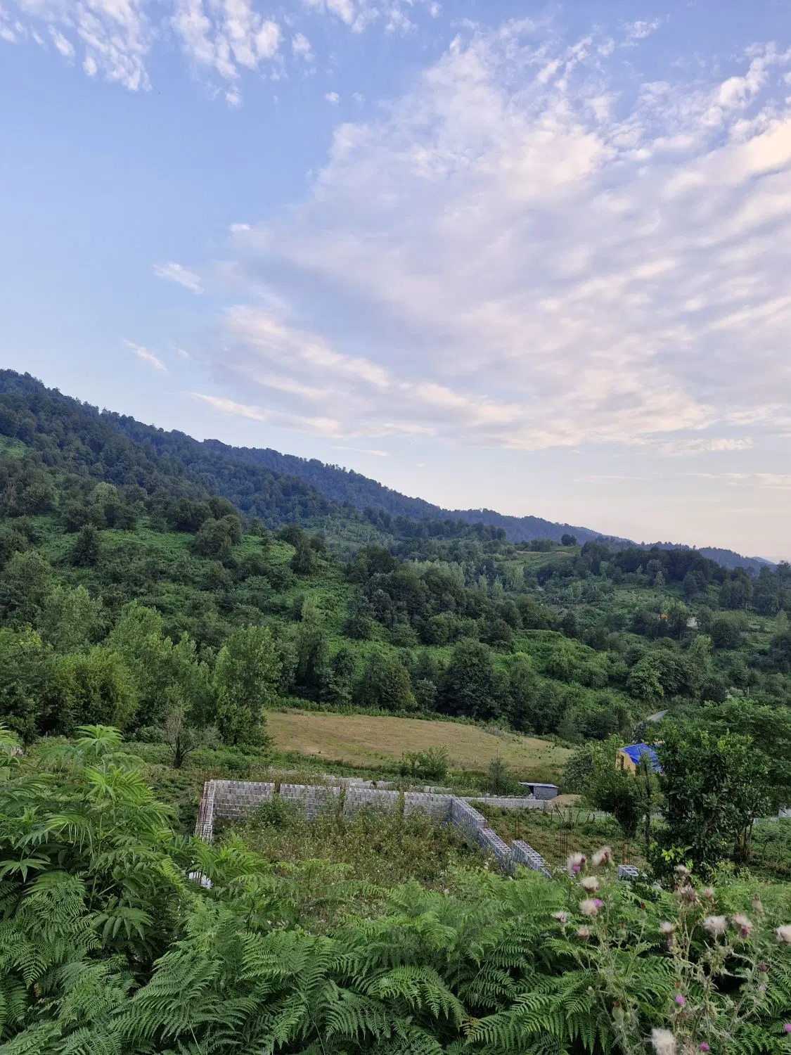 تصویر املاک 62602