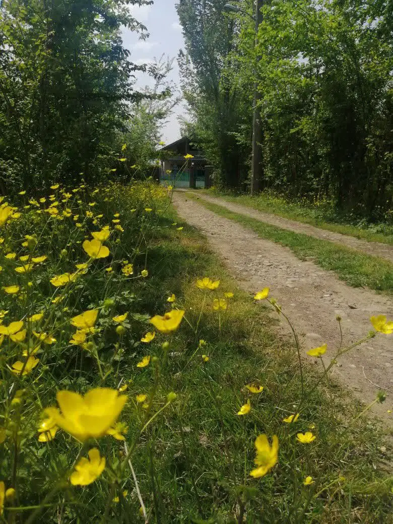 تصویر املاک 66191