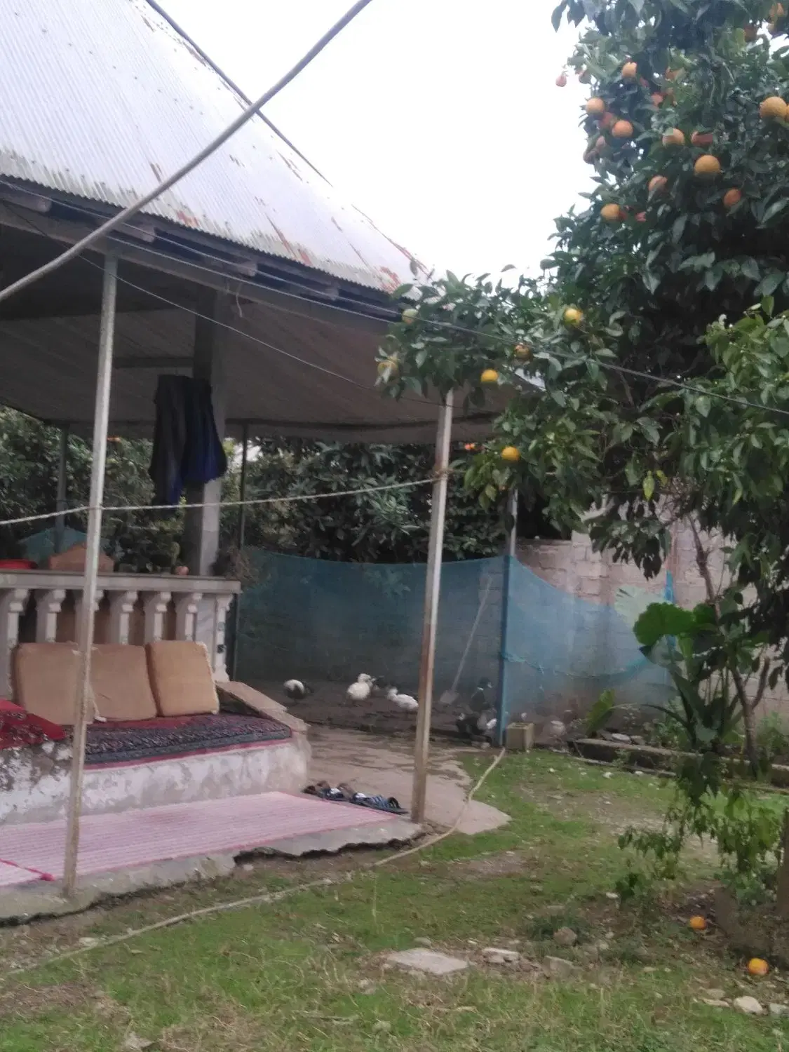 تصویر املاک 76543
