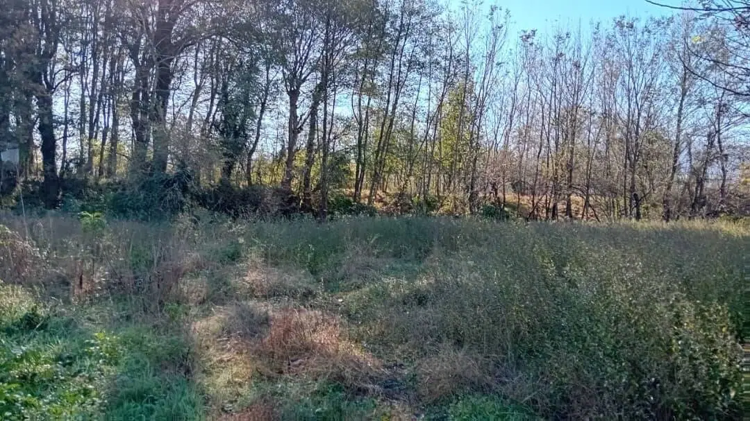 تصویر املاک 100831