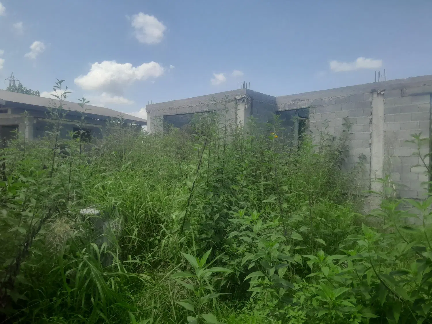 تصویر املاک 118748