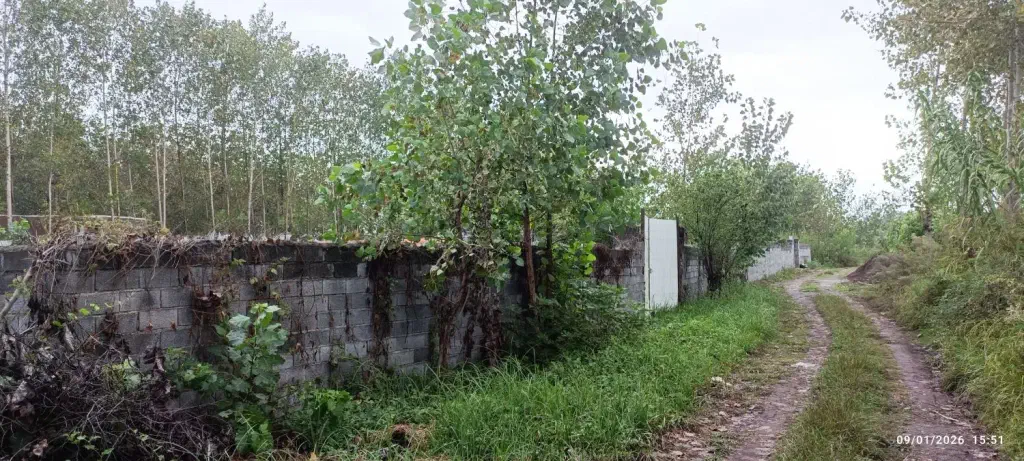 تصویر املاک 142969