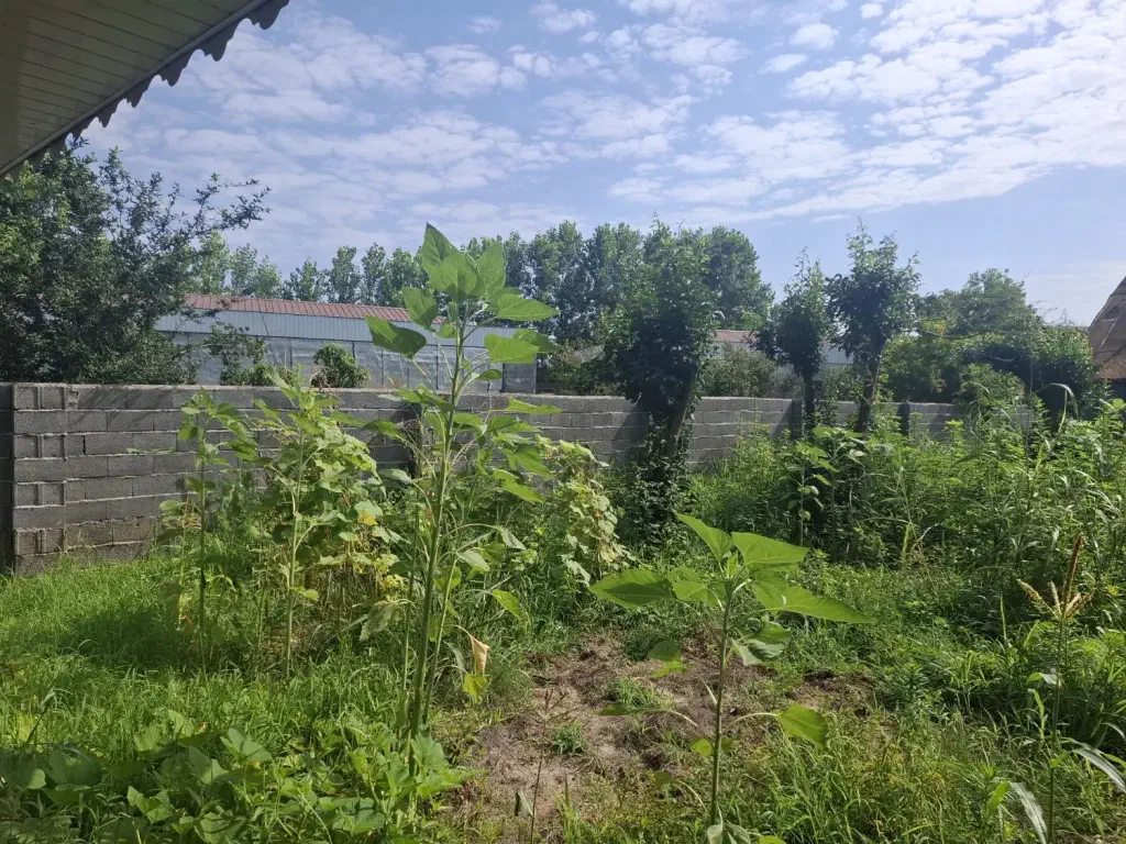تصویر املاک 145357