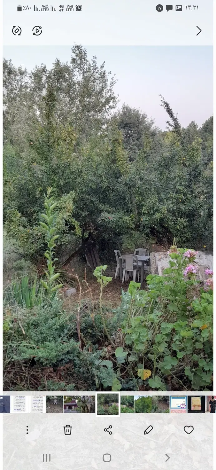 تصویر املاک 130009