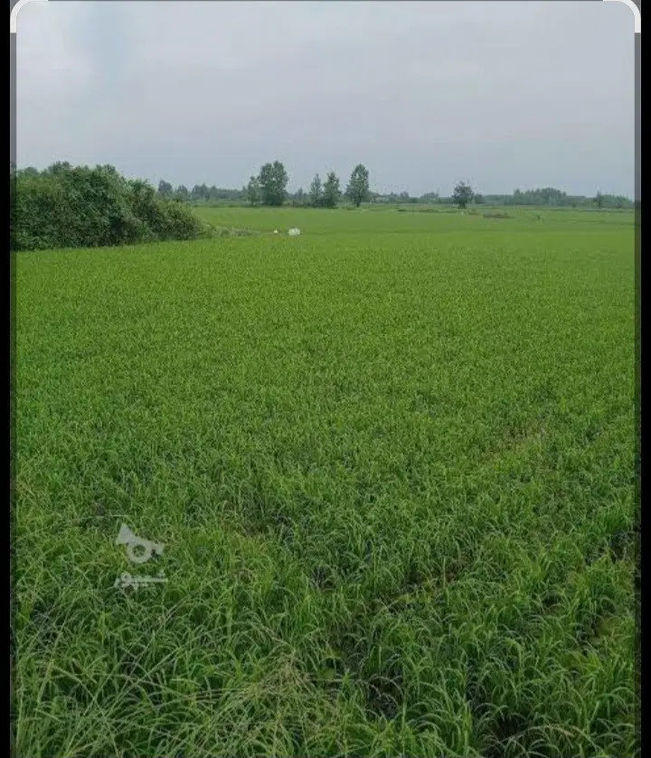 تصویر املاک 84861