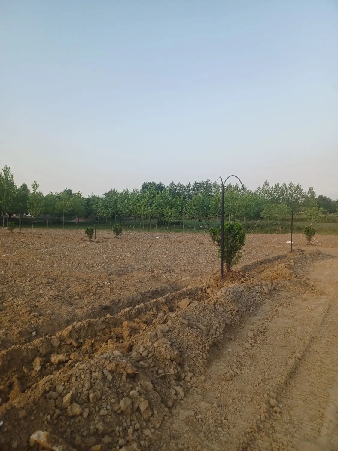 تصویر املاک 81541