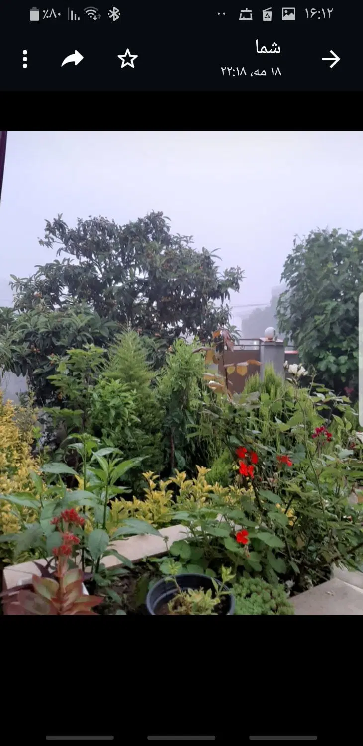 تصویر املاک 110584