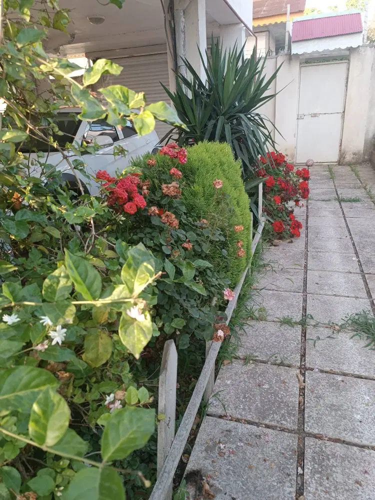 تصویر املاک 118246
