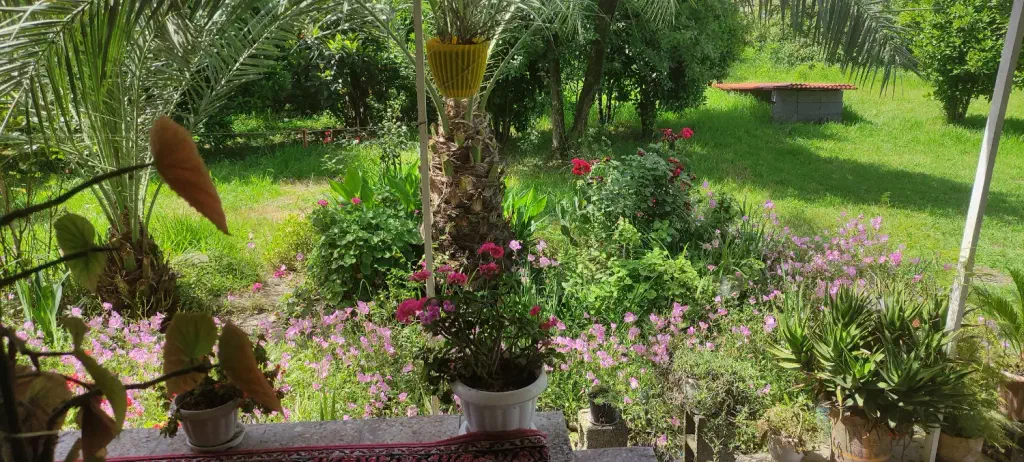 تصویر املاک 140161