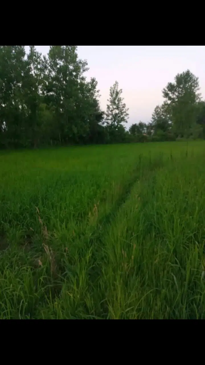 تصویر املاک 98269