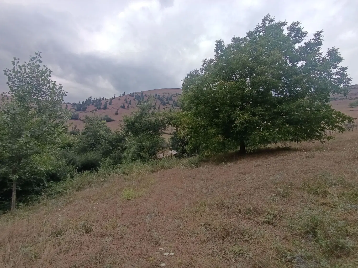 تصویر املاک 91926
