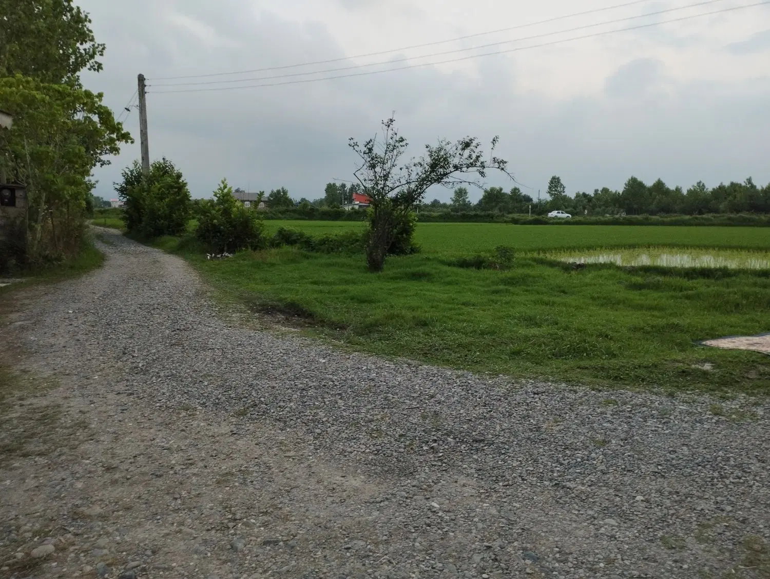 تصویر املاک 132046