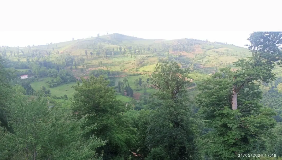 تصویر املاک 93108
