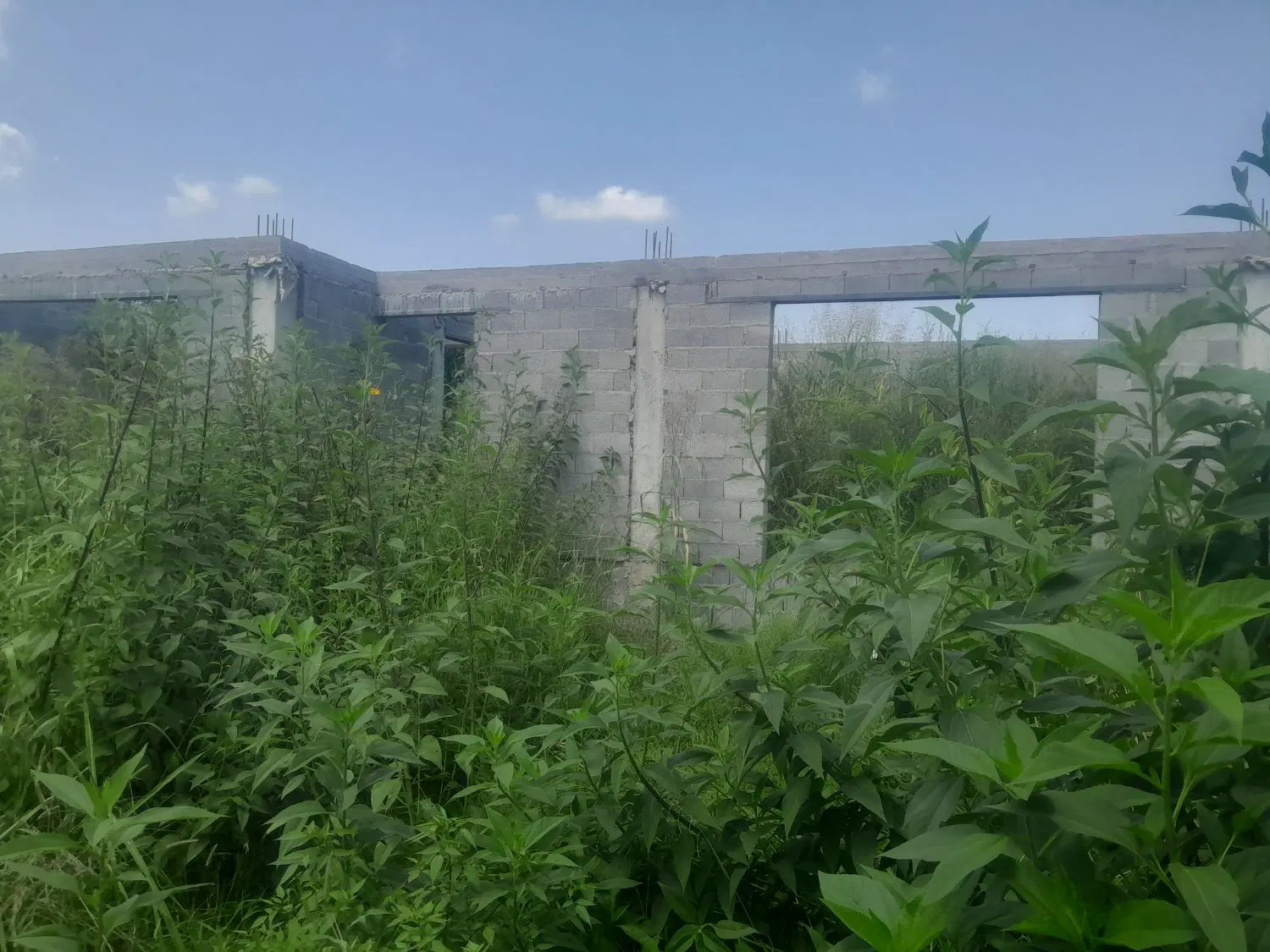 تصویر املاک 118750