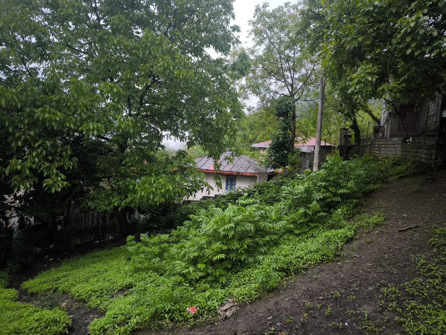 تصویر املاک 46948