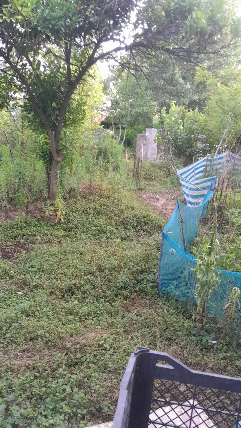 تصویر املاک 74799