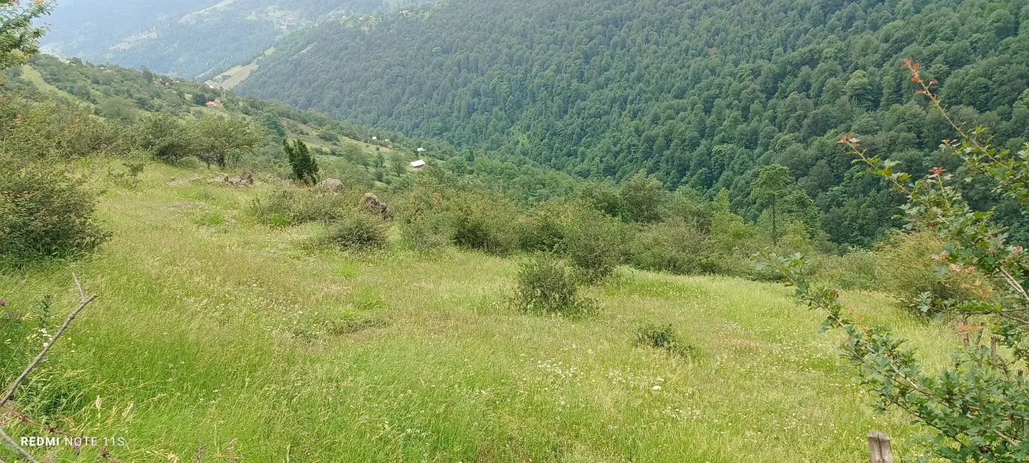 تصویر املاک 63655