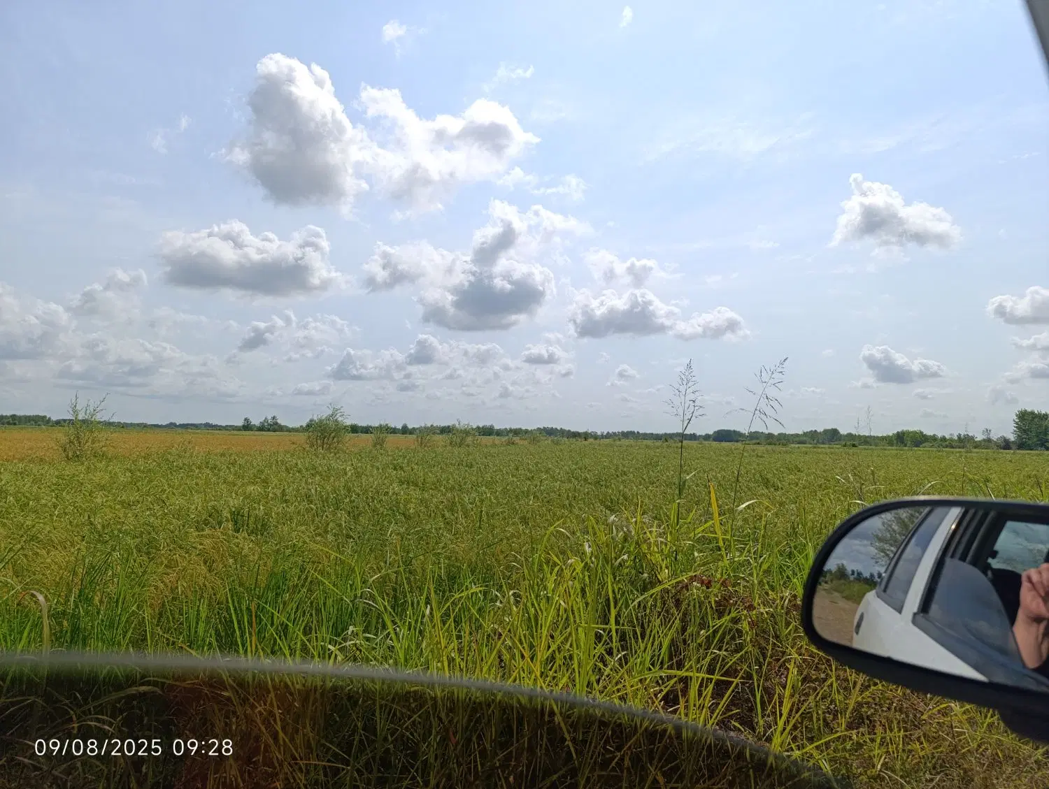 تصویر املاک 128232