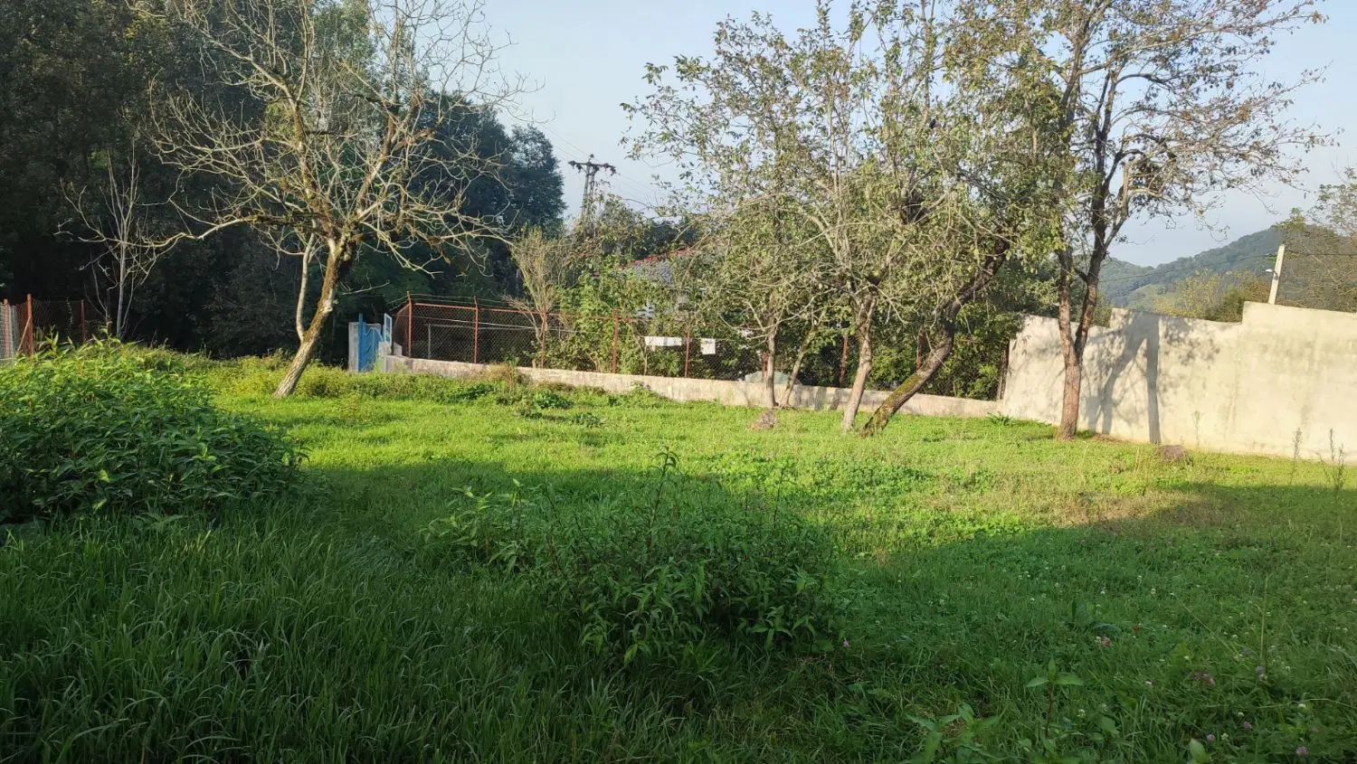 تصویر املاک 73231