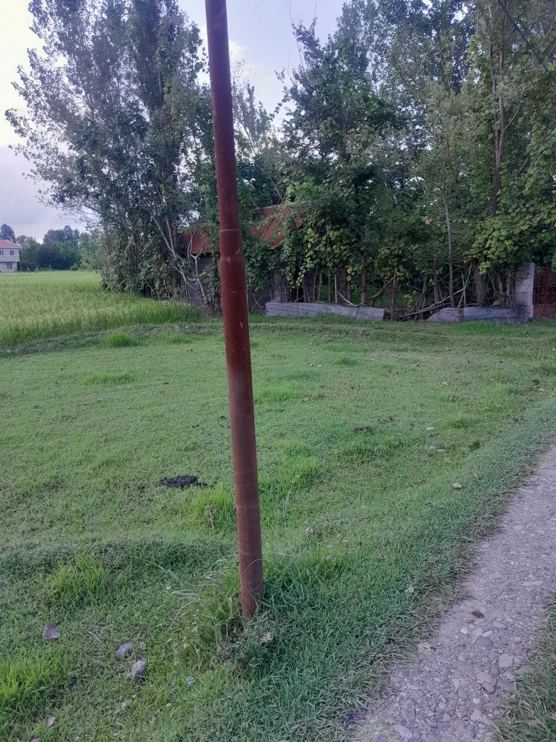 تصویر املاک 129556