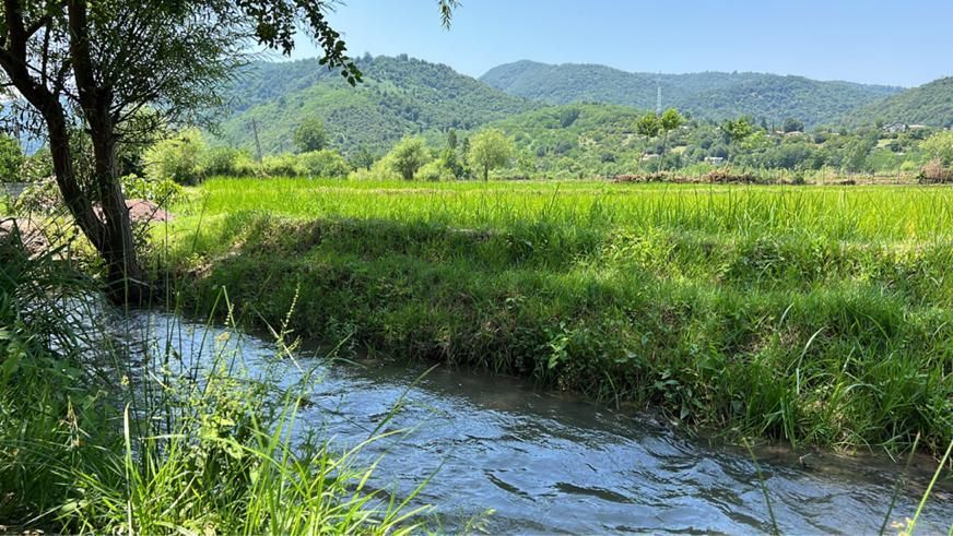 تصویر املاک 87886
