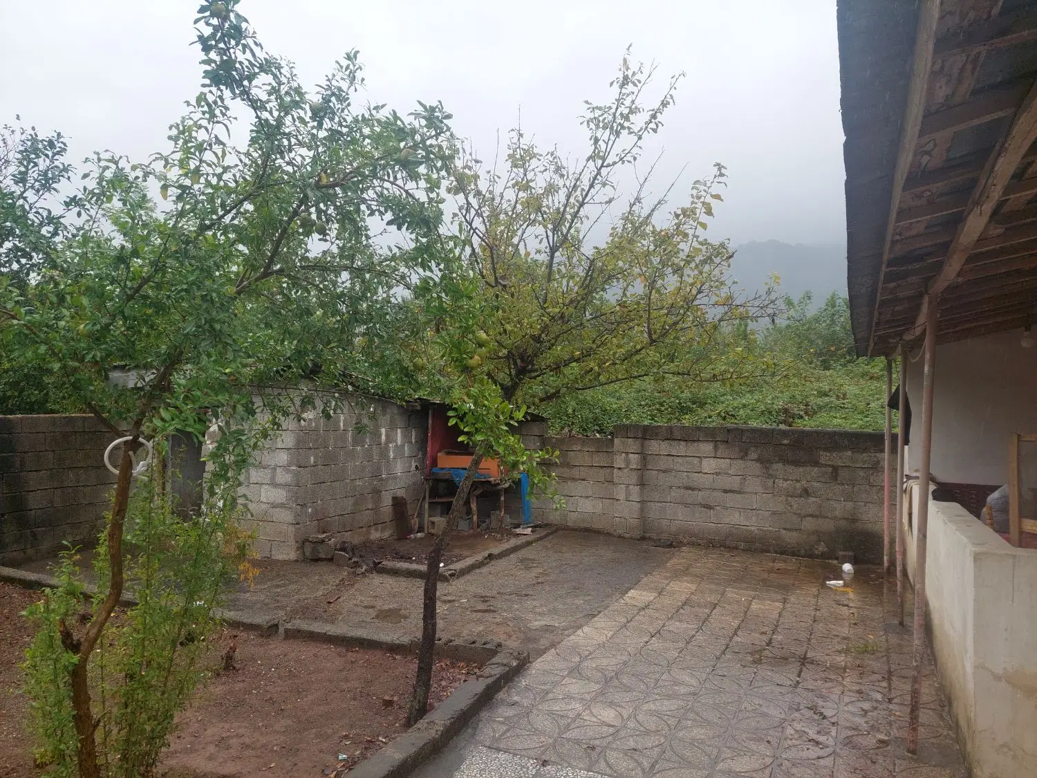 تصویر املاک 114722
