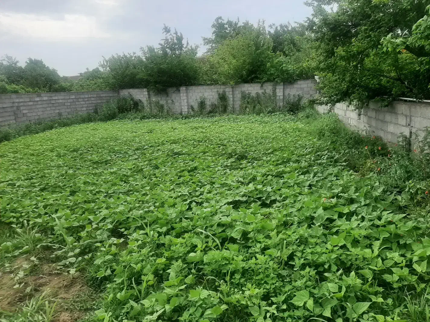 تصویر املاک 40670