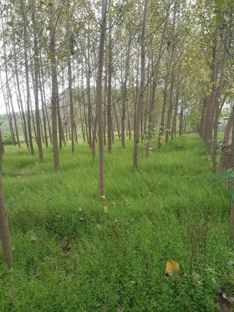 تصویر املاک 143028