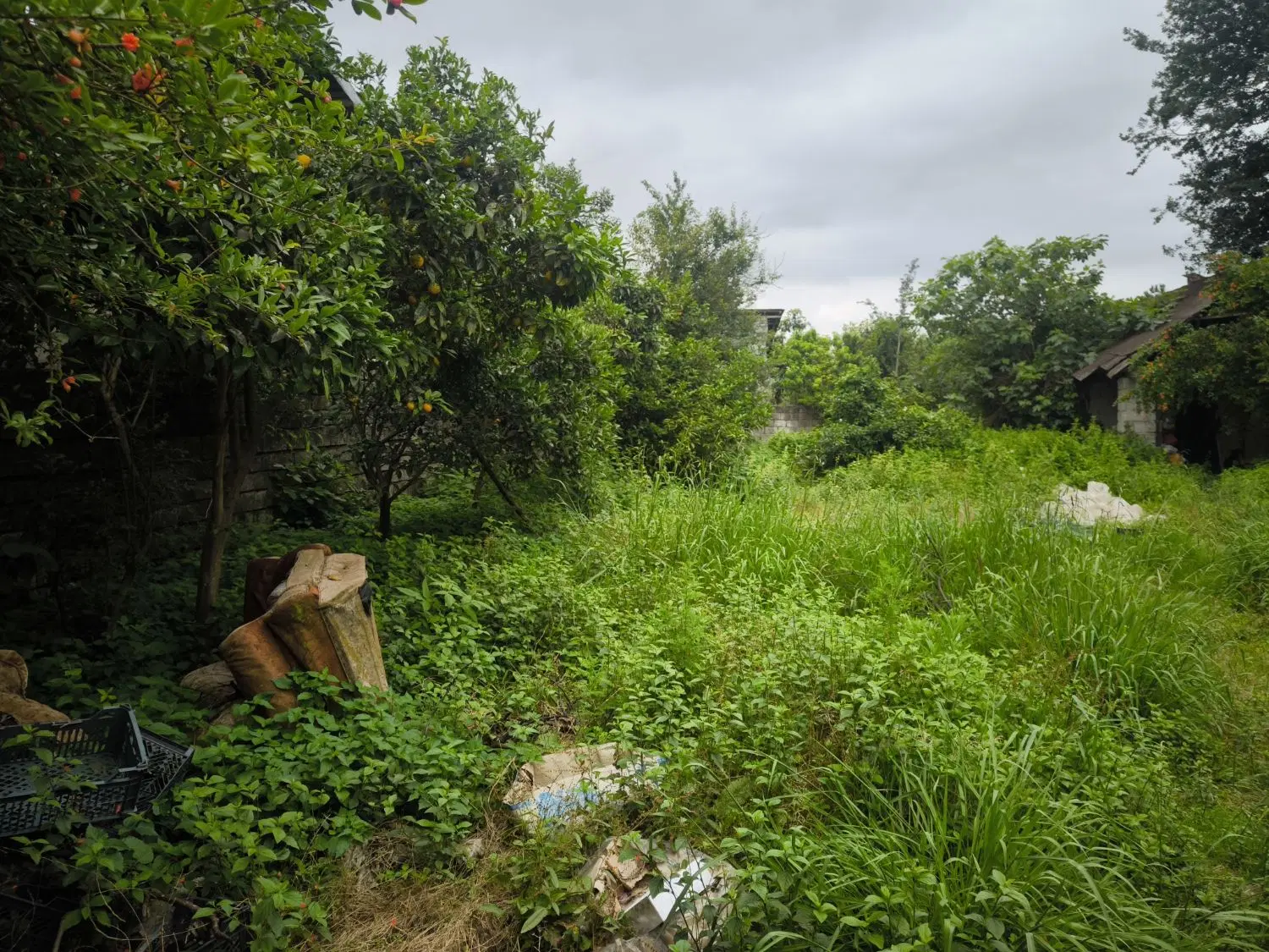 تصویر املاک 52504