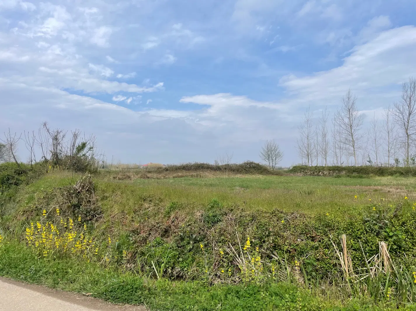 تصویر املاک 60943