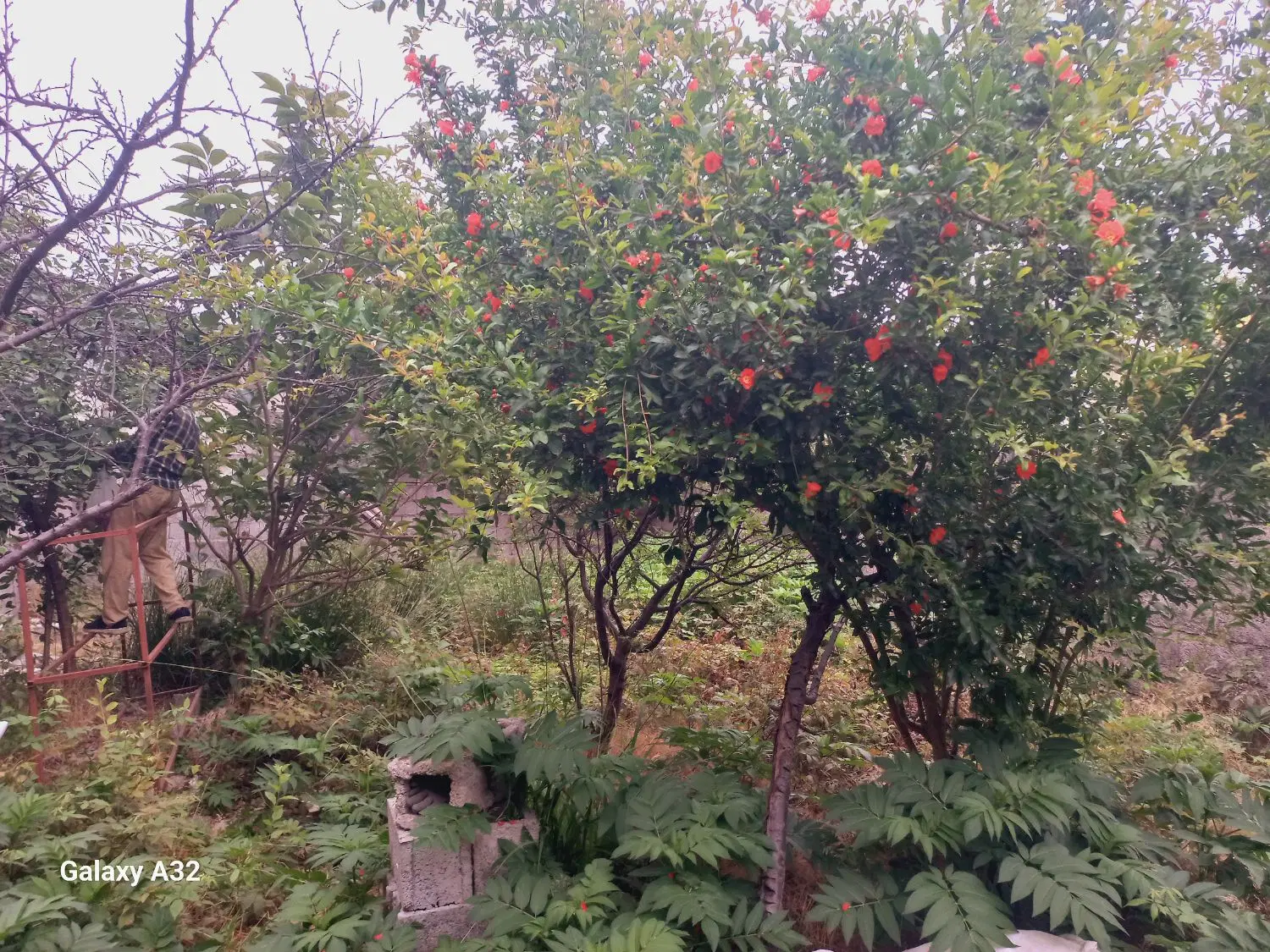 تصویر املاک 46702