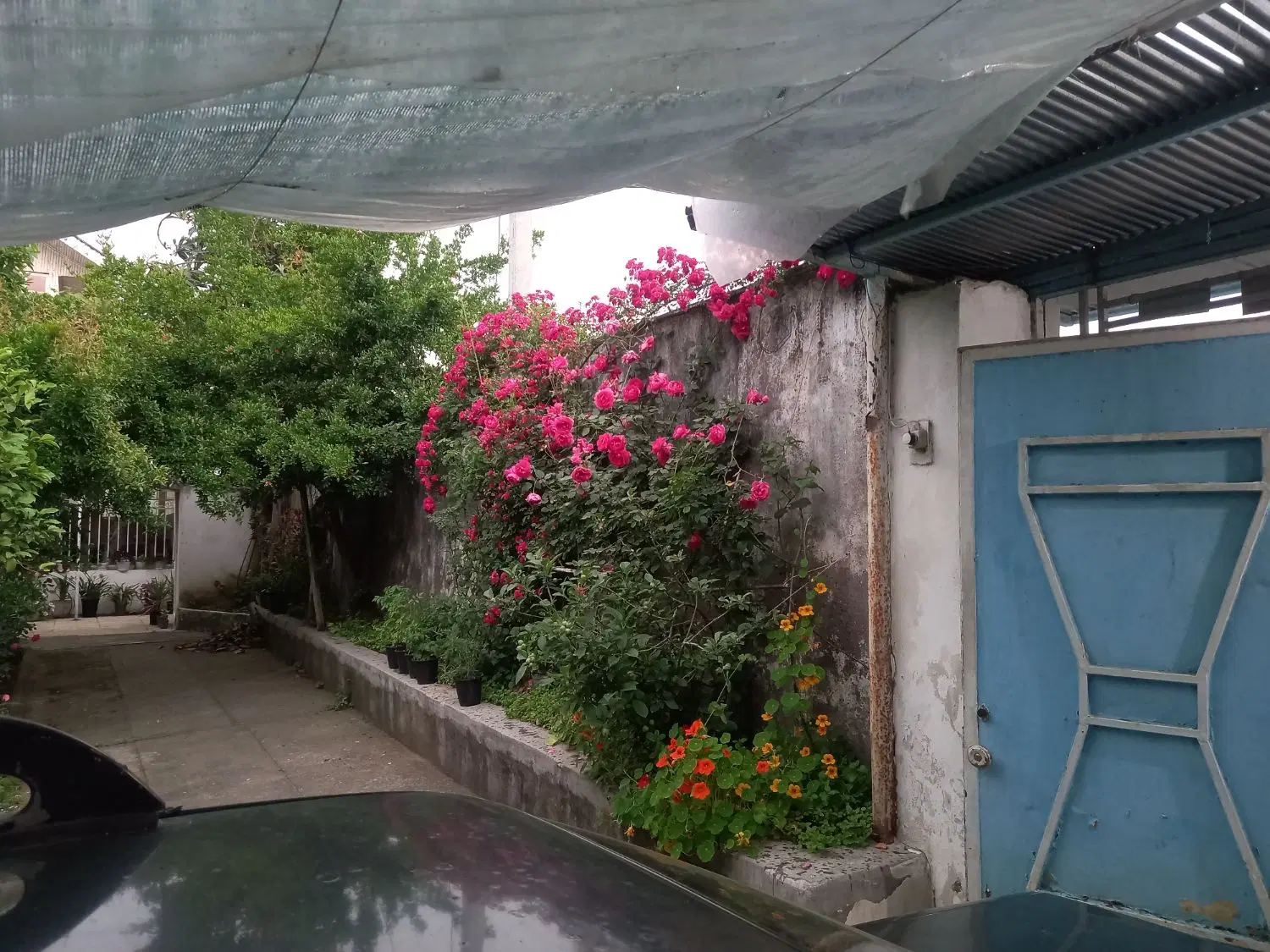 تصویر املاک 114052