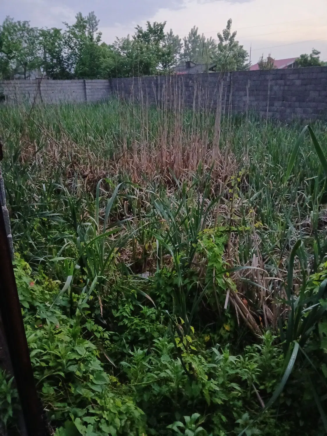 تصویر املاک 60589