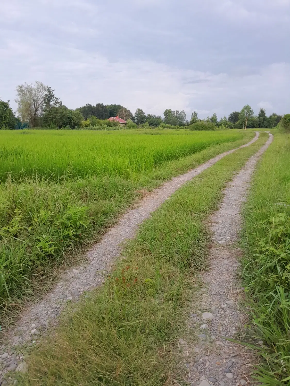 تصویر املاک 73660