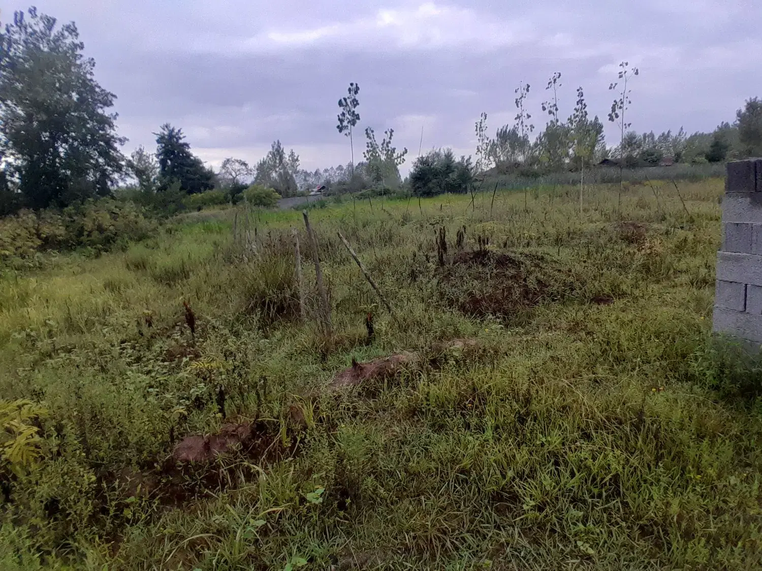 تصویر املاک 78521