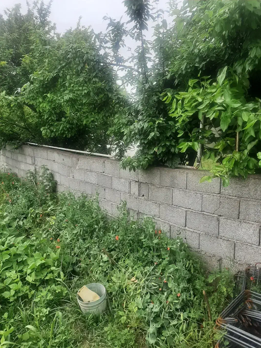 تصویر املاک 40667
