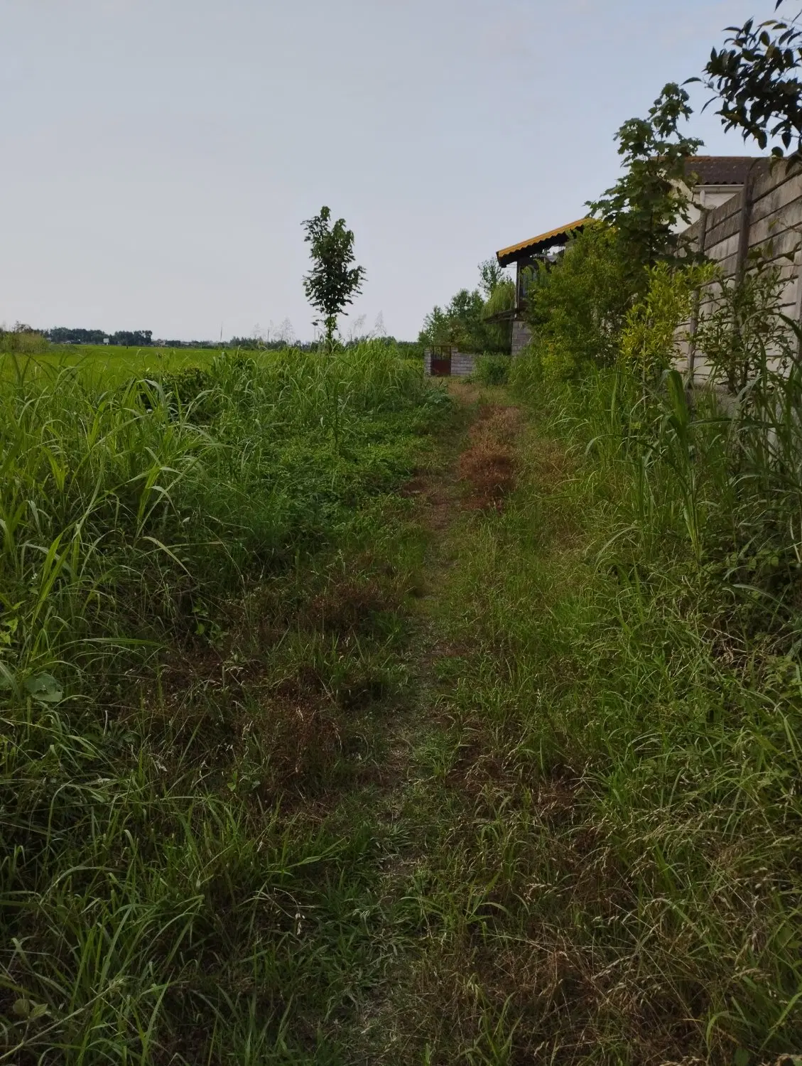 تصویر املاک 83115