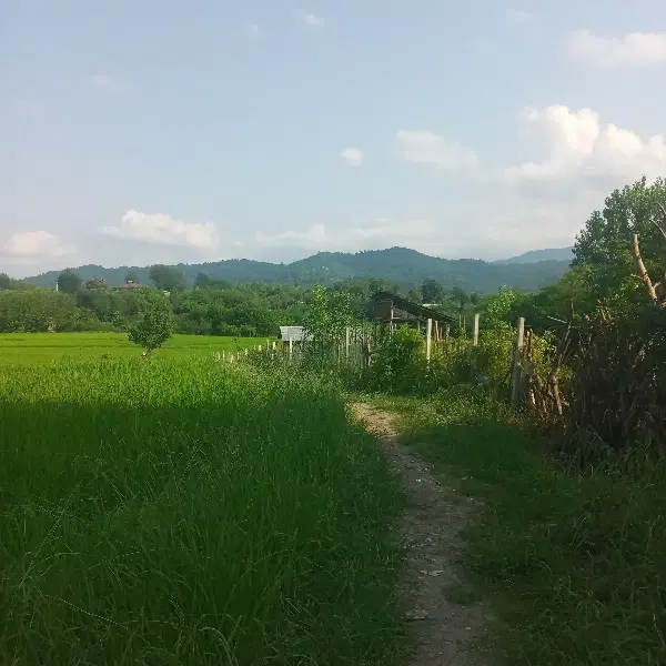 تصویر املاک 96549