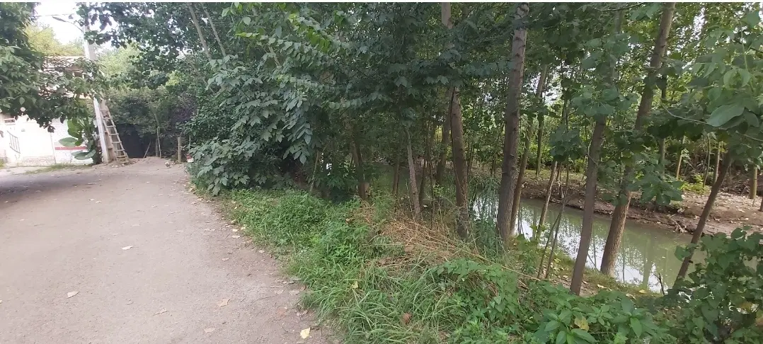 تصویر املاک 108549