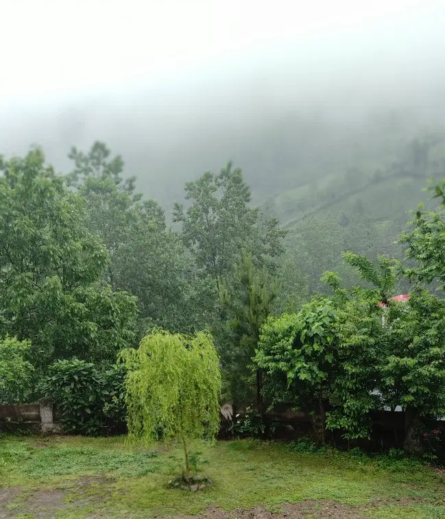 تصویر املاک 53960